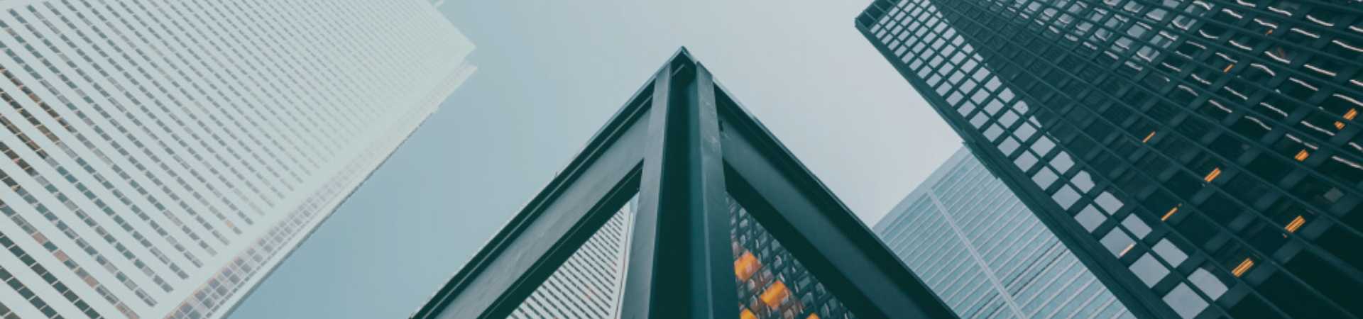 公司股权